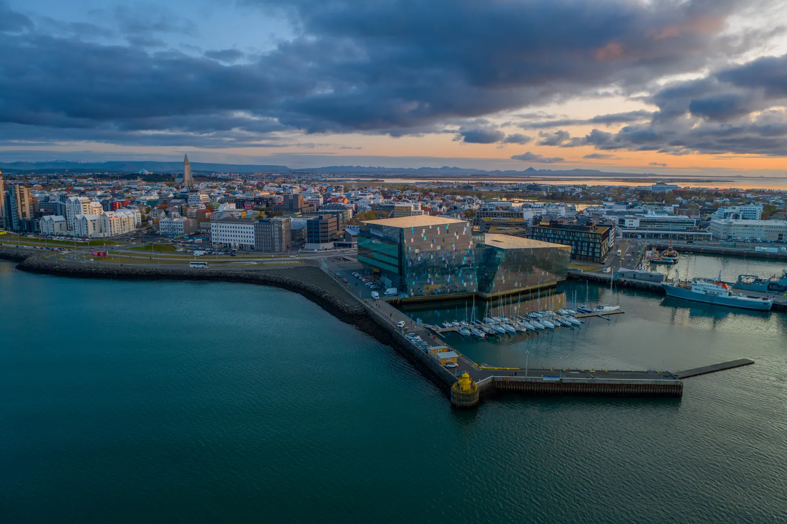 Sea & Fire: Whale Watching & Harpa Combo