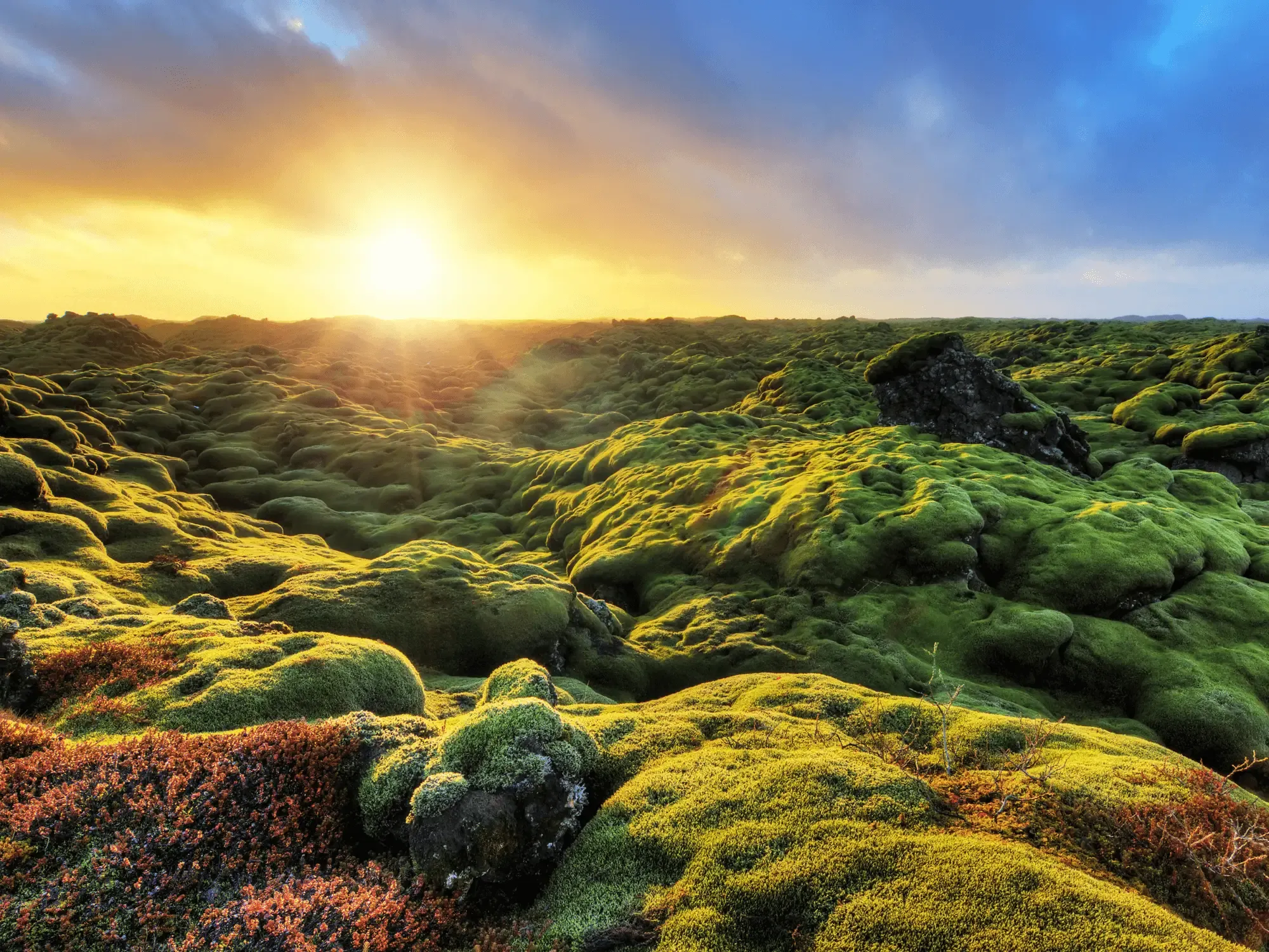 Discover Iceland's geothermal wonders: A journey through epic natural marvels