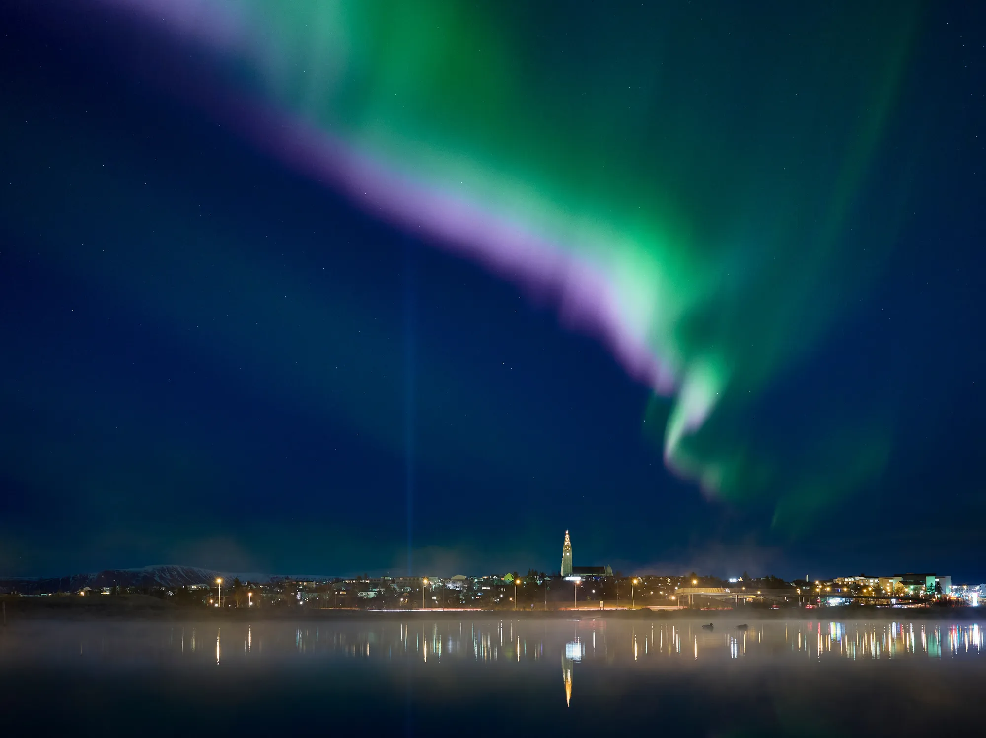 Green and purple northern lights over the Reykjavík skyline and Hallgrímskirkja church